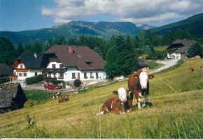 Apartment Prodinger, Mariapfarr, Österreich, Mariapfarr, Österreich